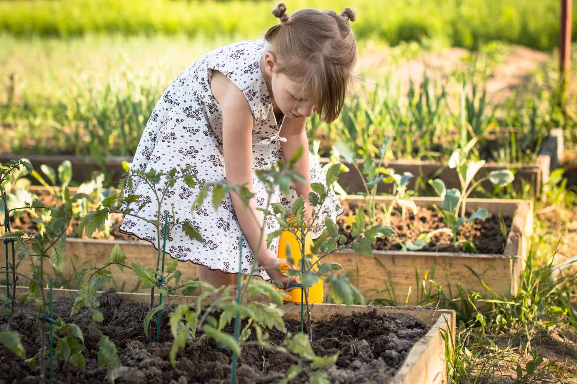 9 Easy Steps to Planning a Kitchen Garden To Feed Your Family plan-a-kitchen-garden-to-feed-your-family