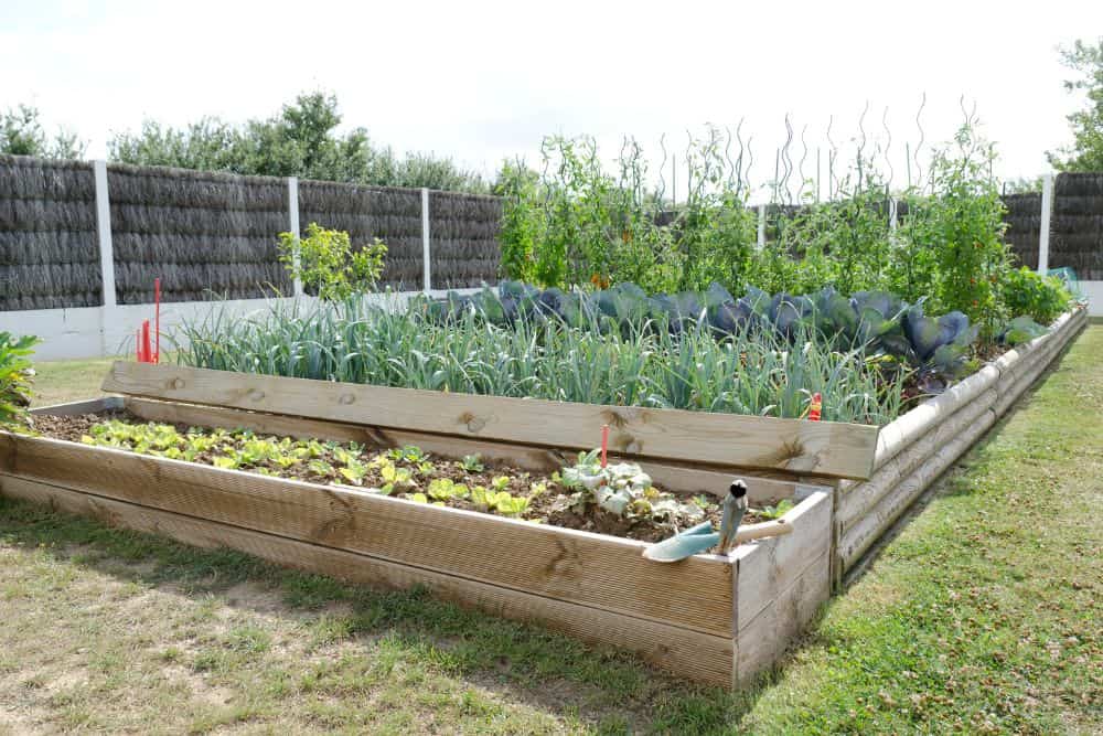 9 Easy Steps to Planning a Kitchen Garden To Feed Your Family plan-a-kitchen-garden-to-feed-your-family-raised-beds