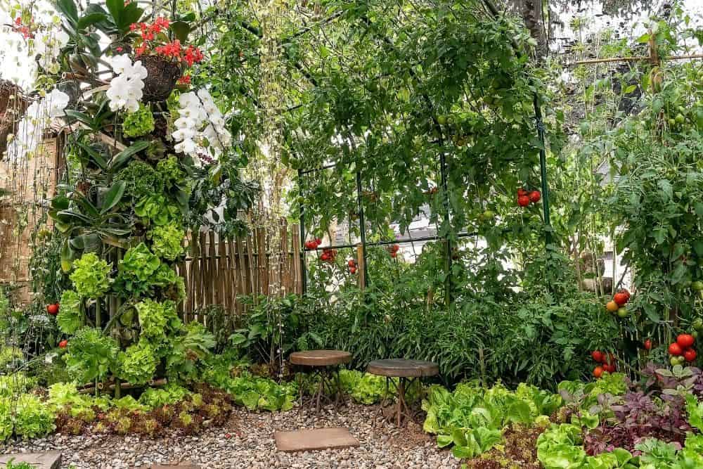 9 Easy Steps to Planning a Kitchen Garden To Feed Your Family plan-a-kitchen-garden-to-feed-your-family-trellis