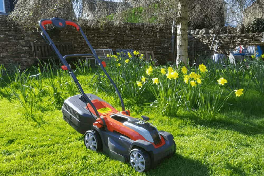 How to Keep Your Garden Clean and Tidy with These Easy Steps * how-to-keep-your-garden-clean-and-tidy-cutting-grass