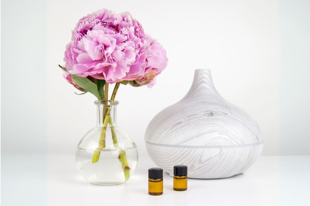 5 Best Essential Oils for Beginners - a Guide to Aromatherapy best-essential-oils-for-beginners-diffuser