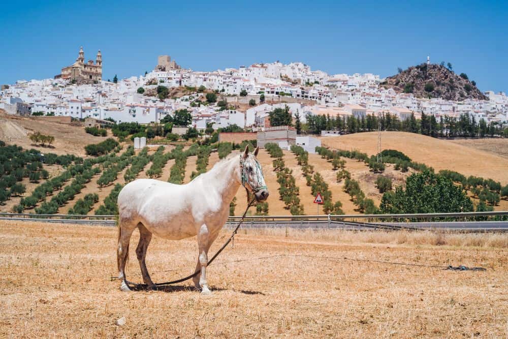 Why Spain is So Much More Than Flamenco and Beaches * why-spain-is-more-than-flamenco-and-beaches-andalucia