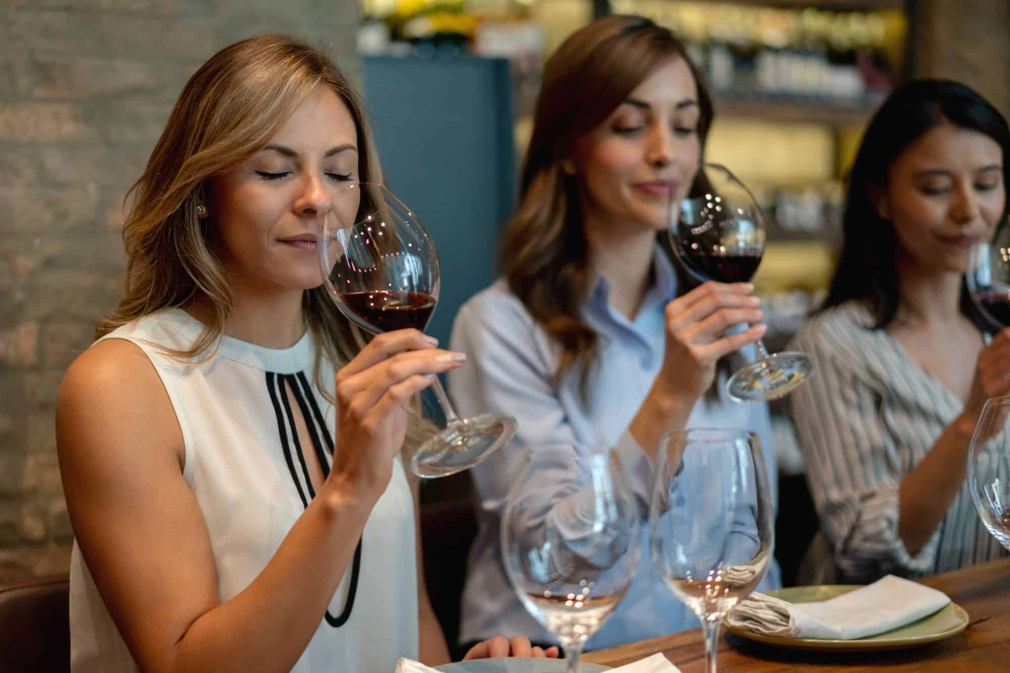 Wine Tour Dos and Don’ts - Mastering Your First Visit wine-tour-dos-and-donts