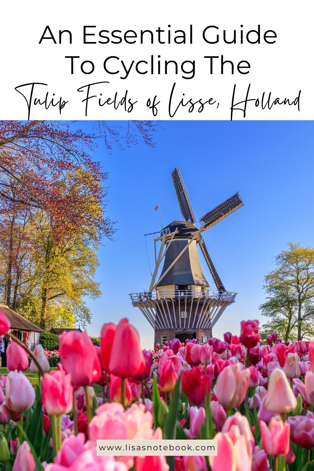 Cycling the Tulip Fields of Lisse, Holland * cycling-the-tulip-fields-of-lisse-pinterest
