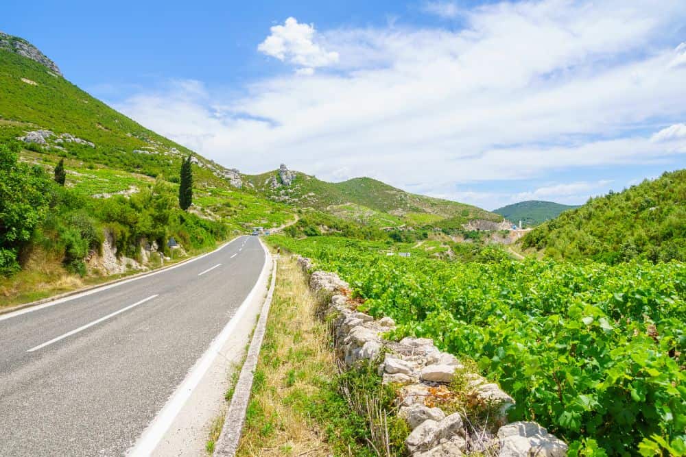 Exploring the Wine Roads of Pelješac Peninsula, Croatia * wine-roads-of-peljesac-vines