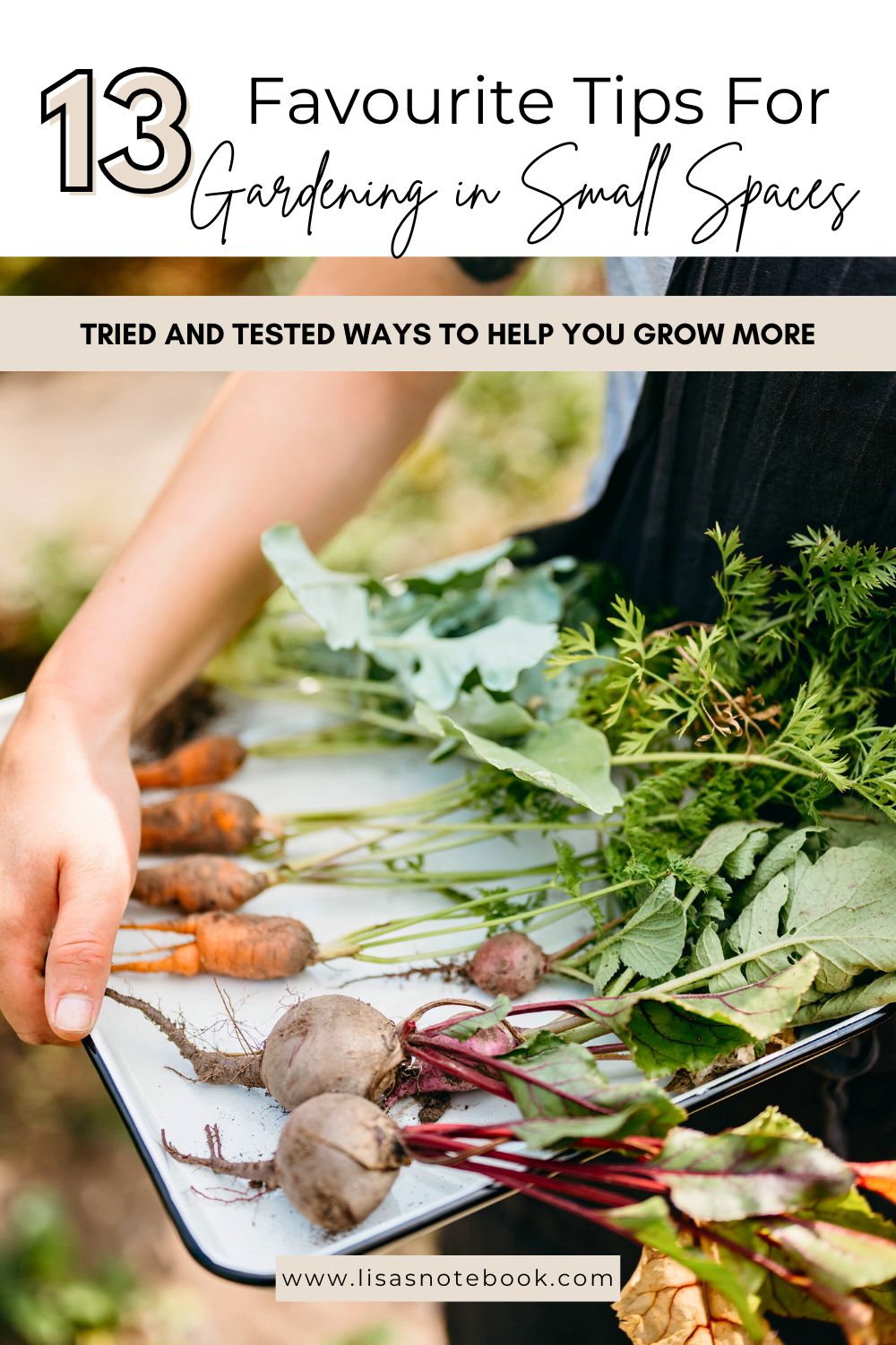 13 Favourite Tips for Gardening in Small Spaces to Help You Grow More gardening-in-small-spaces-pinterest