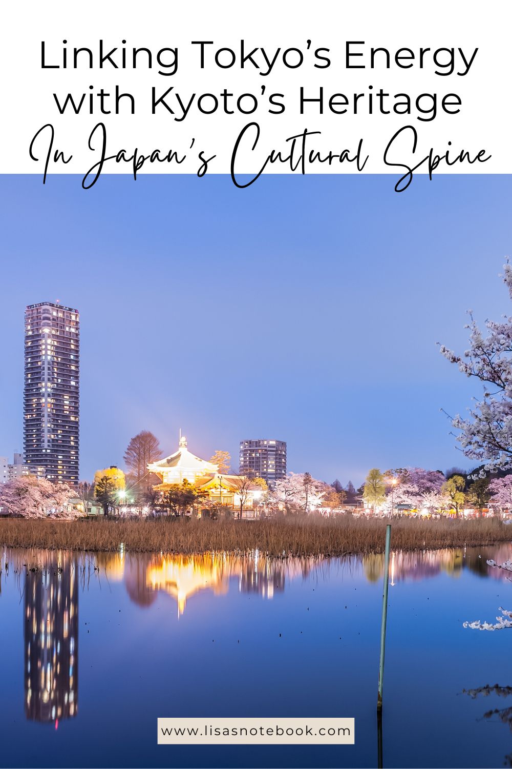 Japan’s Cultural Spine: Linking Tokyo’s Energy with Kyoto’s Heritage * japan-culture-tokyo-kyoto-pinterest