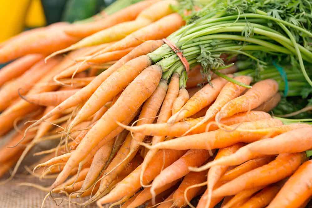 13 Favourite Tips for Gardening in Small Spaces to Help You Grow More gardening-in-small-spaces-carrots