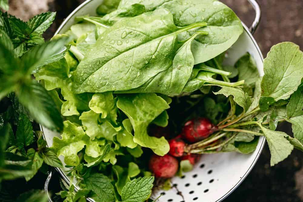13 Favourite Tips for Gardening in Small Spaces to Help You Grow More gardening-in-small-spaces-lettuce-radishes