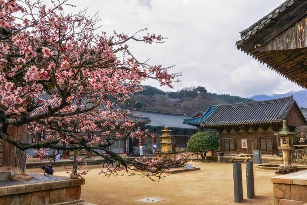 Quick Escapes Around Busan: Explore the Unexpected * quick-escapes-around-busan-tongdosa