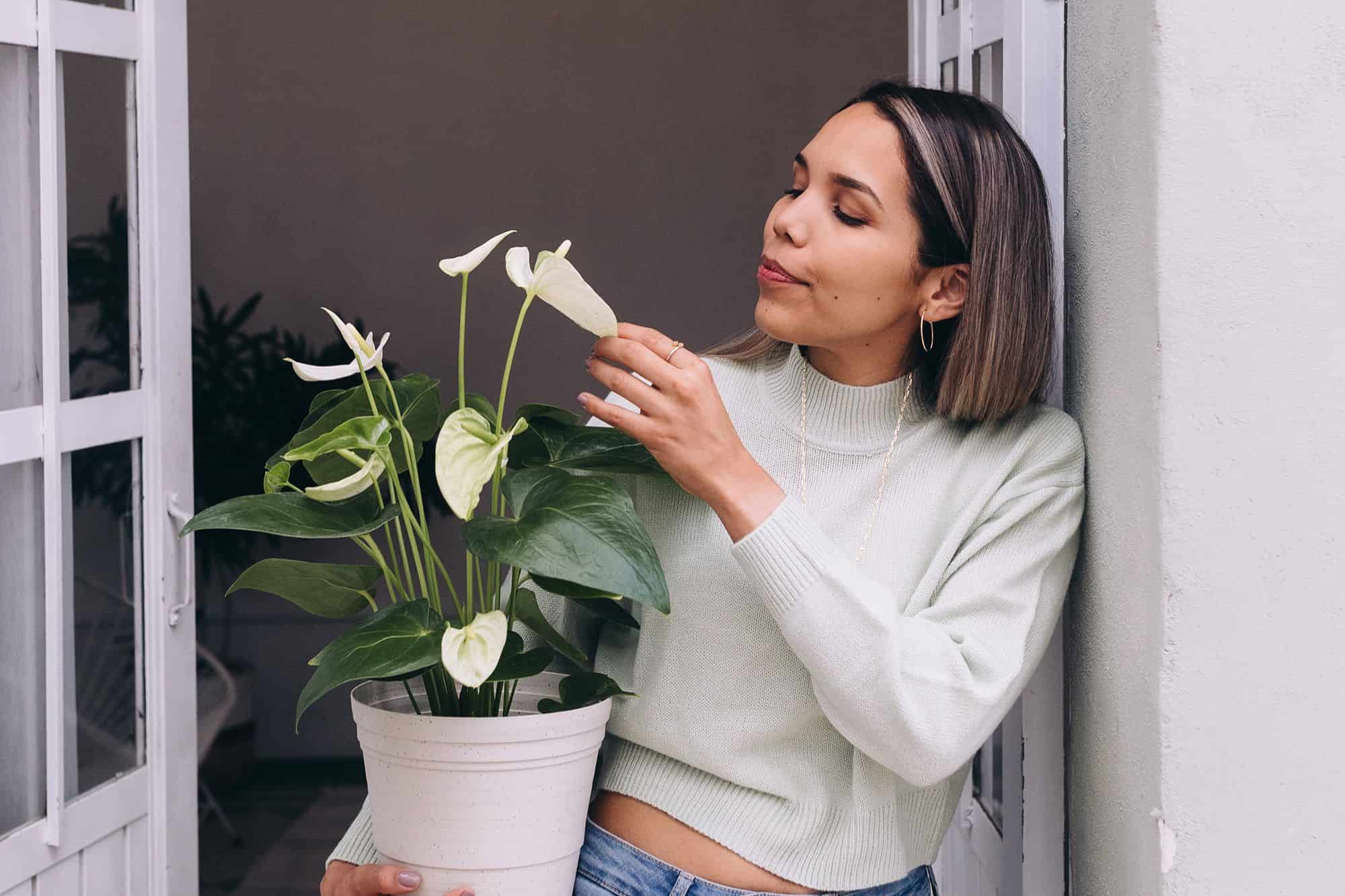 Gardening and Home Care: Practical Tips for a Healthier, More Beautiful Home * gardening-and-home-care-tips