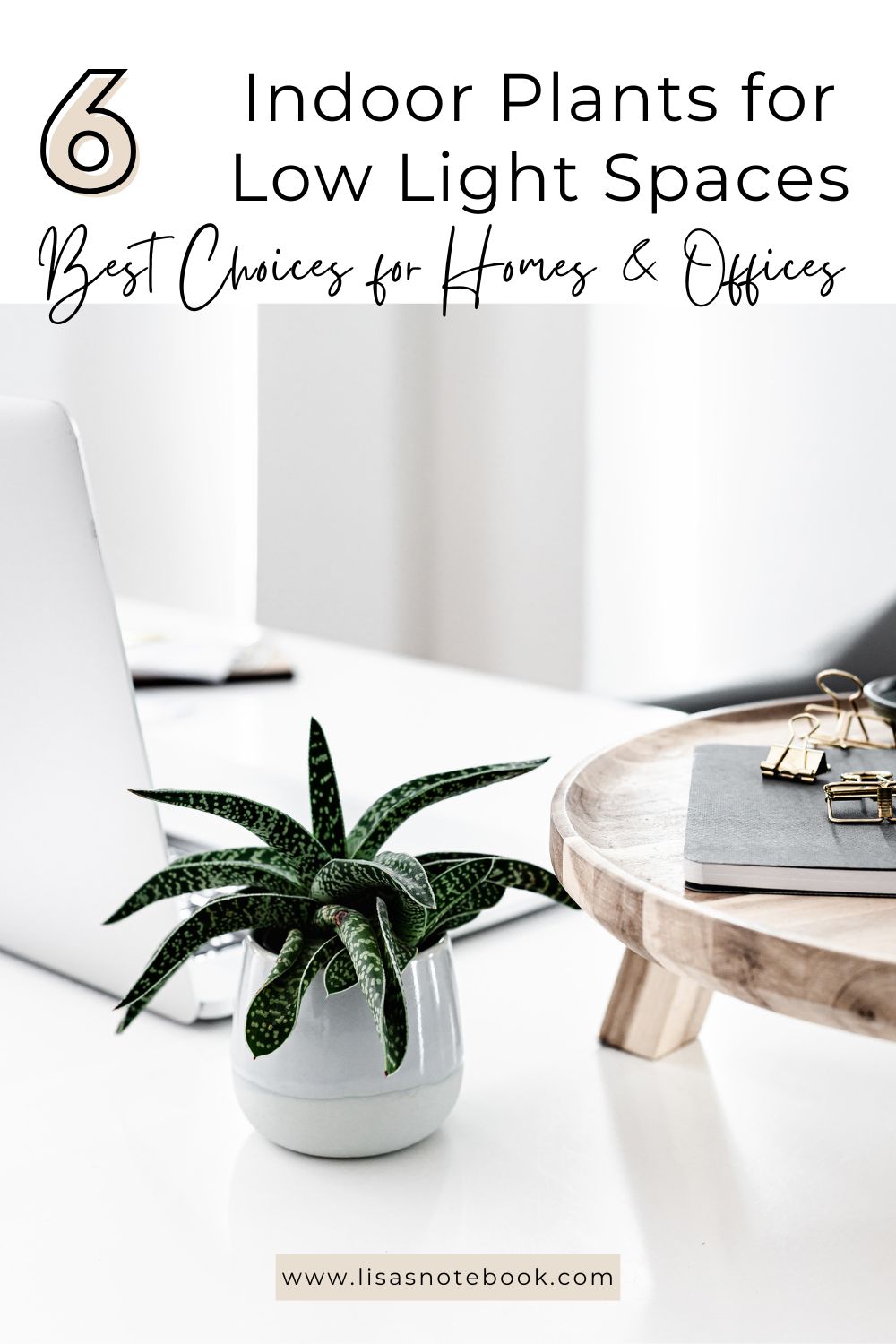Indoor Plants for Low Light Spaces: Best Choices for Homes & Offices * indoor-plants-for-low-light-pinterest