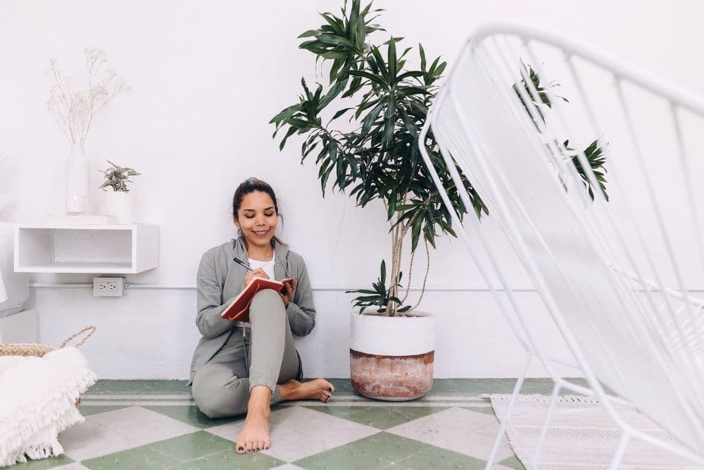 Gardening and Home Care: Practical Tips for a Healthier, More Beautiful Home * gardening-and-home-care-tips-to-do-list