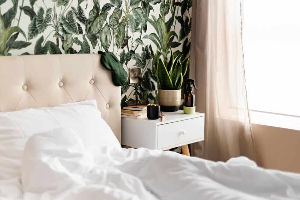 Indoor Plants for Low Light Spaces: Best Choices for Homes & Offices * indoor-plants-for-low-light-pinterest