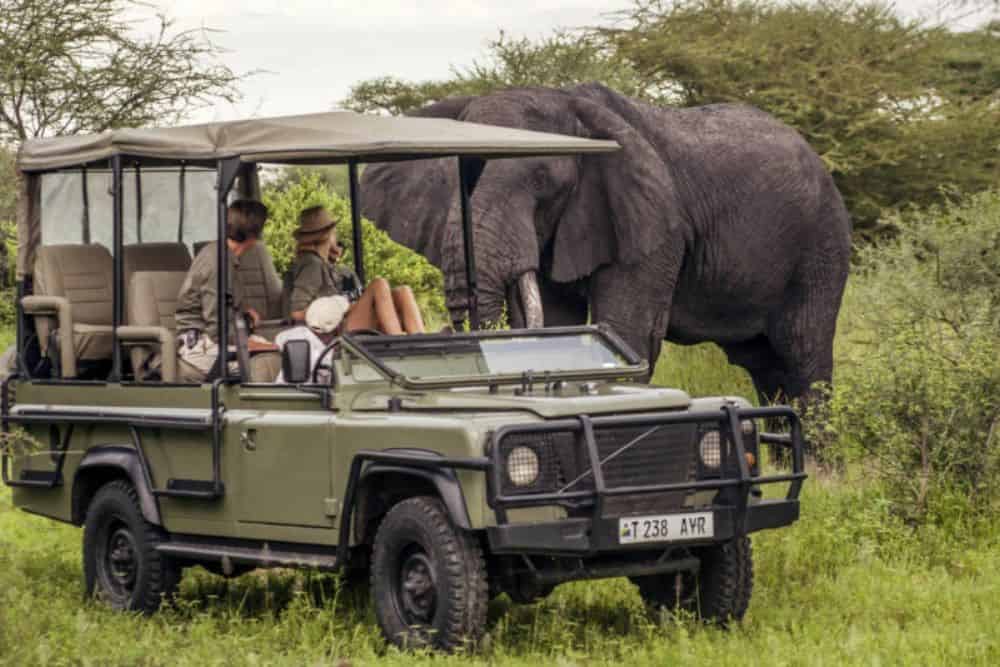 Why a Luxury Safari Appeals to Every Age * luxury-safaris-for-all-ages-elephant