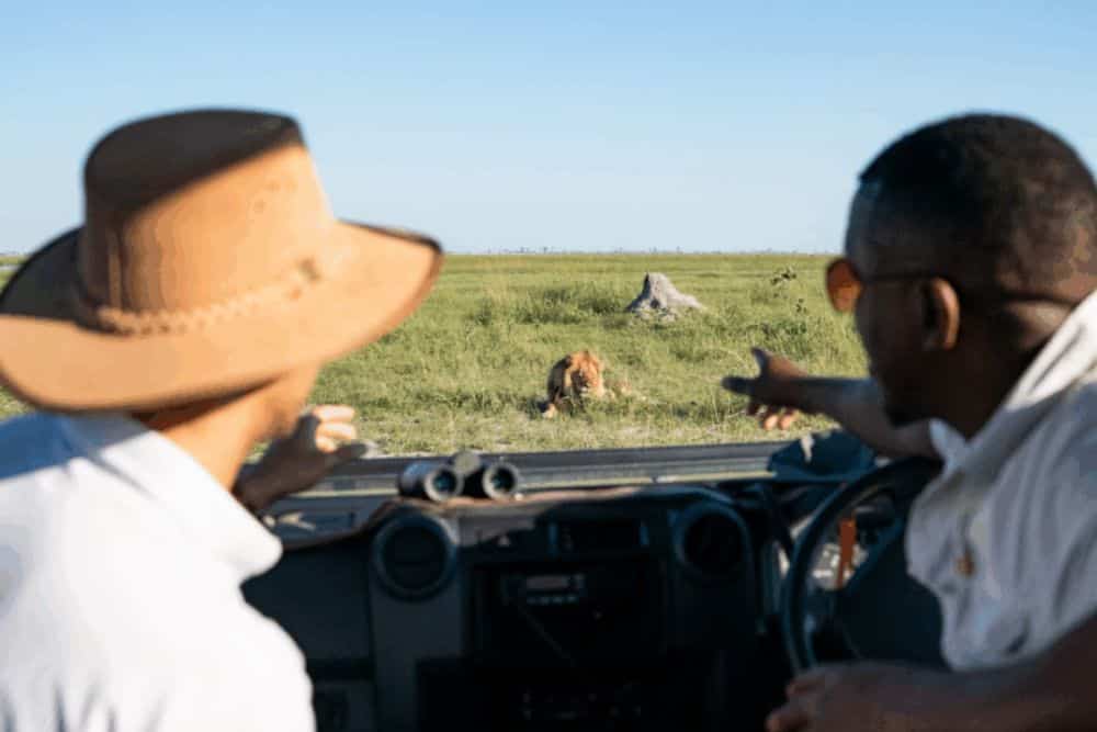 Why a Luxury Safari Appeals to Every Age * luxury-safaris-for-all-ages-lion