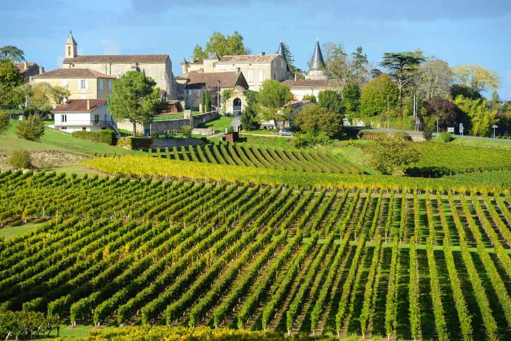 Travel Stories and Fine Wine: Discovering a Luxury Lafite Rothschild Collection * luxury-lafite-rothschild-collection-vineyard