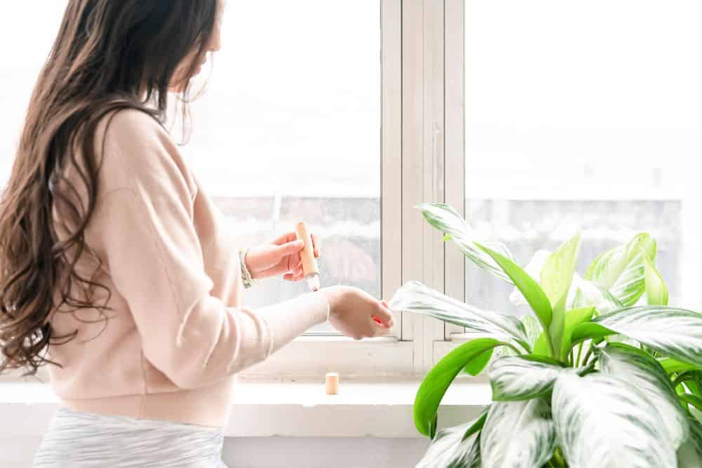 4 Simple Wellness Habits to Keep Your Skin and Body Calm During Busy Seasons * simple-wellness-habits-calming-rollon