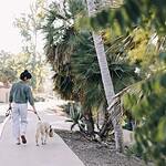 are-all-native-plants-pet-safe