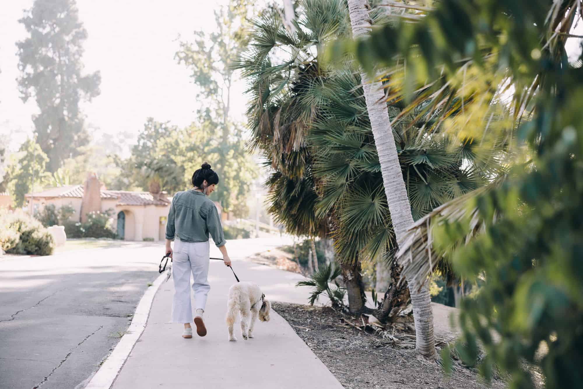 are-all-native-plants-pet-safe
